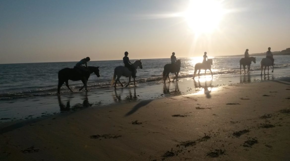 ile de re ou faire des promenades à cheval ?