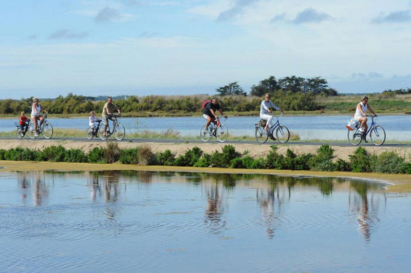 Bike ride on the Ile de Ré