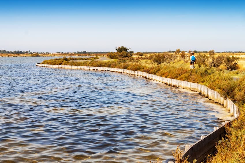 L’Ile de Ré, se montre au naturel en parlant de sa biodiversité